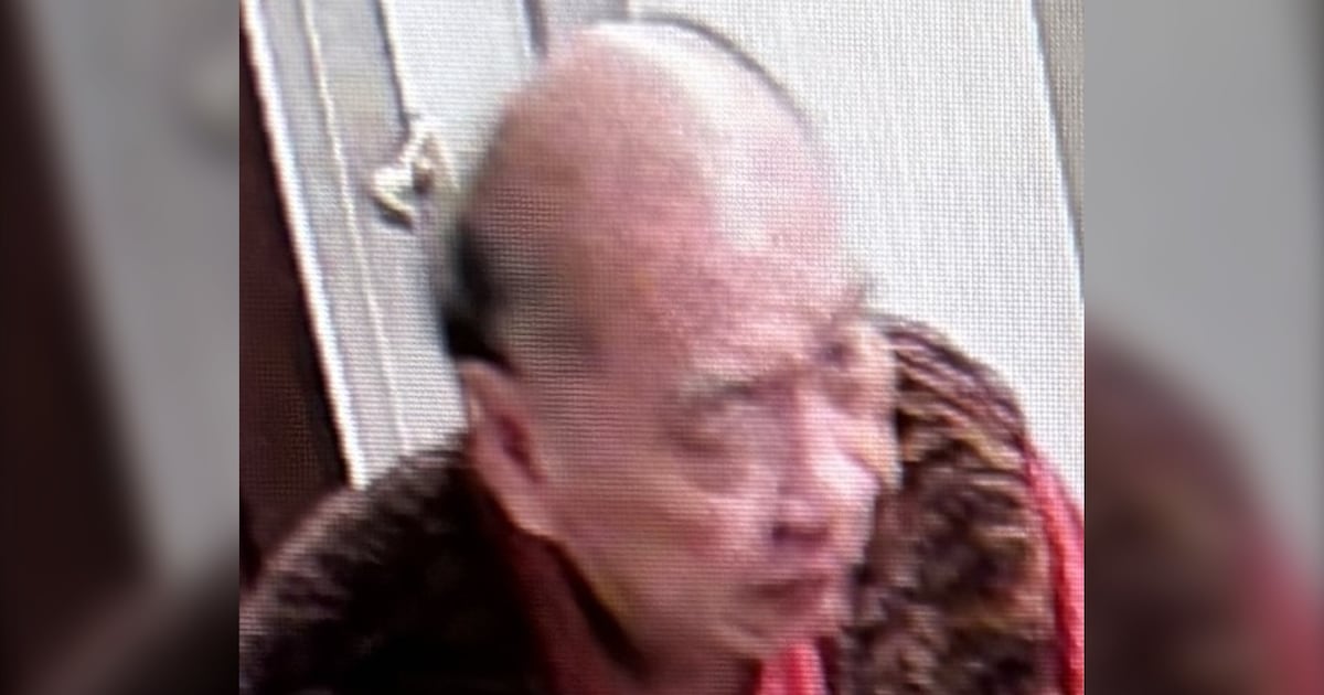 78-year-old man missing 8 days after entering Humber River in inflatable kayak