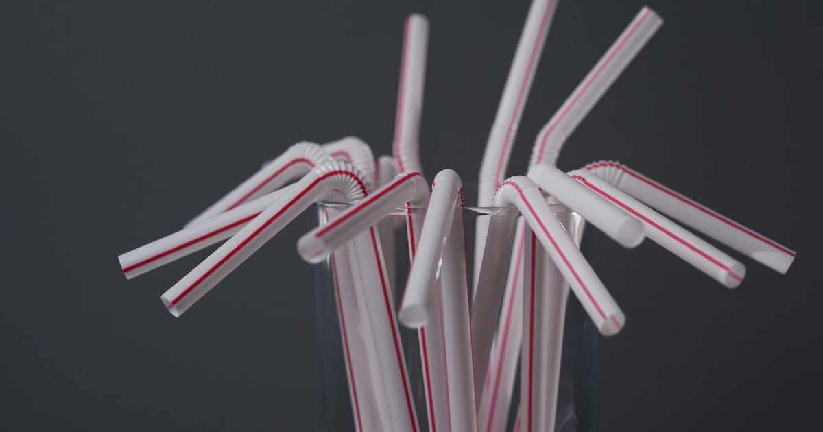 Supreme Court of Canada to hear appeal of Ottawa's single-use plastics ban