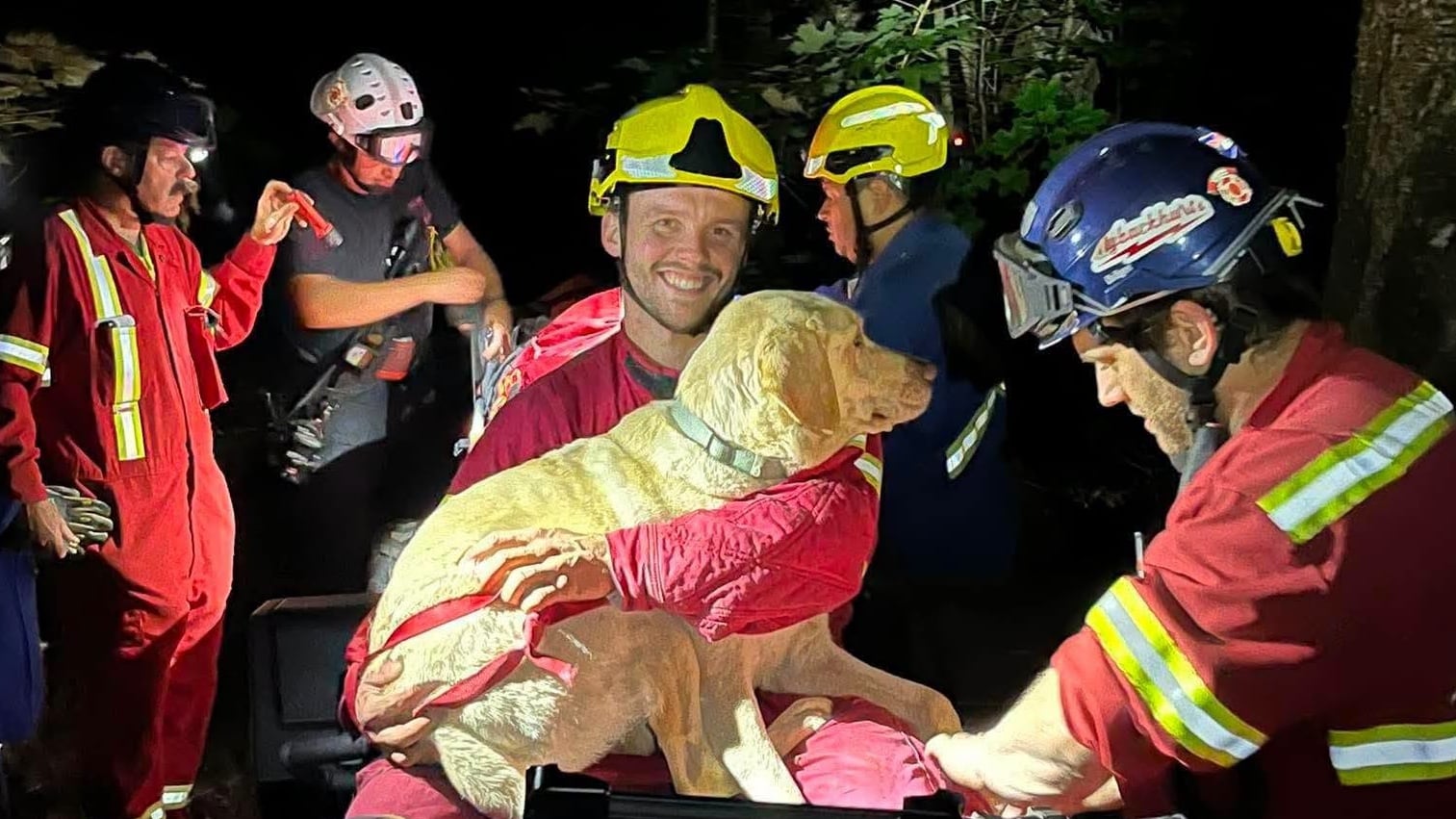 Reese the dog was rescued by a rope team after he went over a cliff at Blomidon Provincial Park on Aug. 16, 2026. (Canning and District Volunteer Fire Department/Facebook)