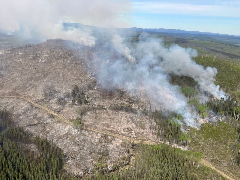 The B.C. Wildfire Service is responding to the Swede Creek blaze near Comstock Lake, southwest of Prince George, B.C. (Handout)