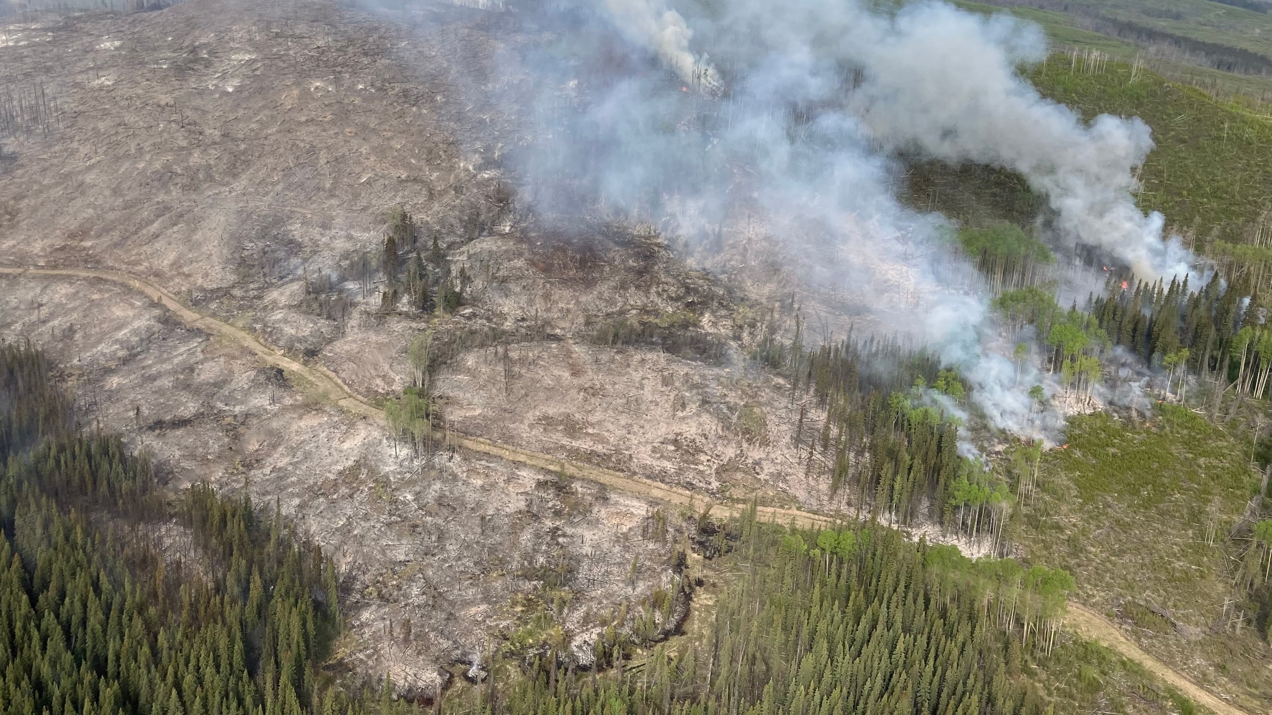 The B.C. Wildfire Service is responding to the Swede Creek blaze near Comstock Lake, southwest of Prince George, B.C. (Handout)