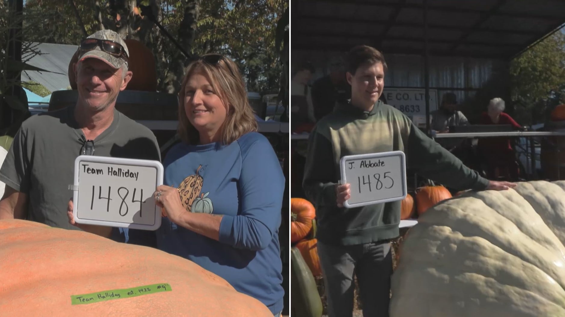 Pumpkin weigh-off