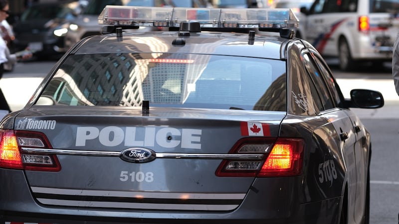 Suspect armed with knife assaulted person in Scarborough park, police say