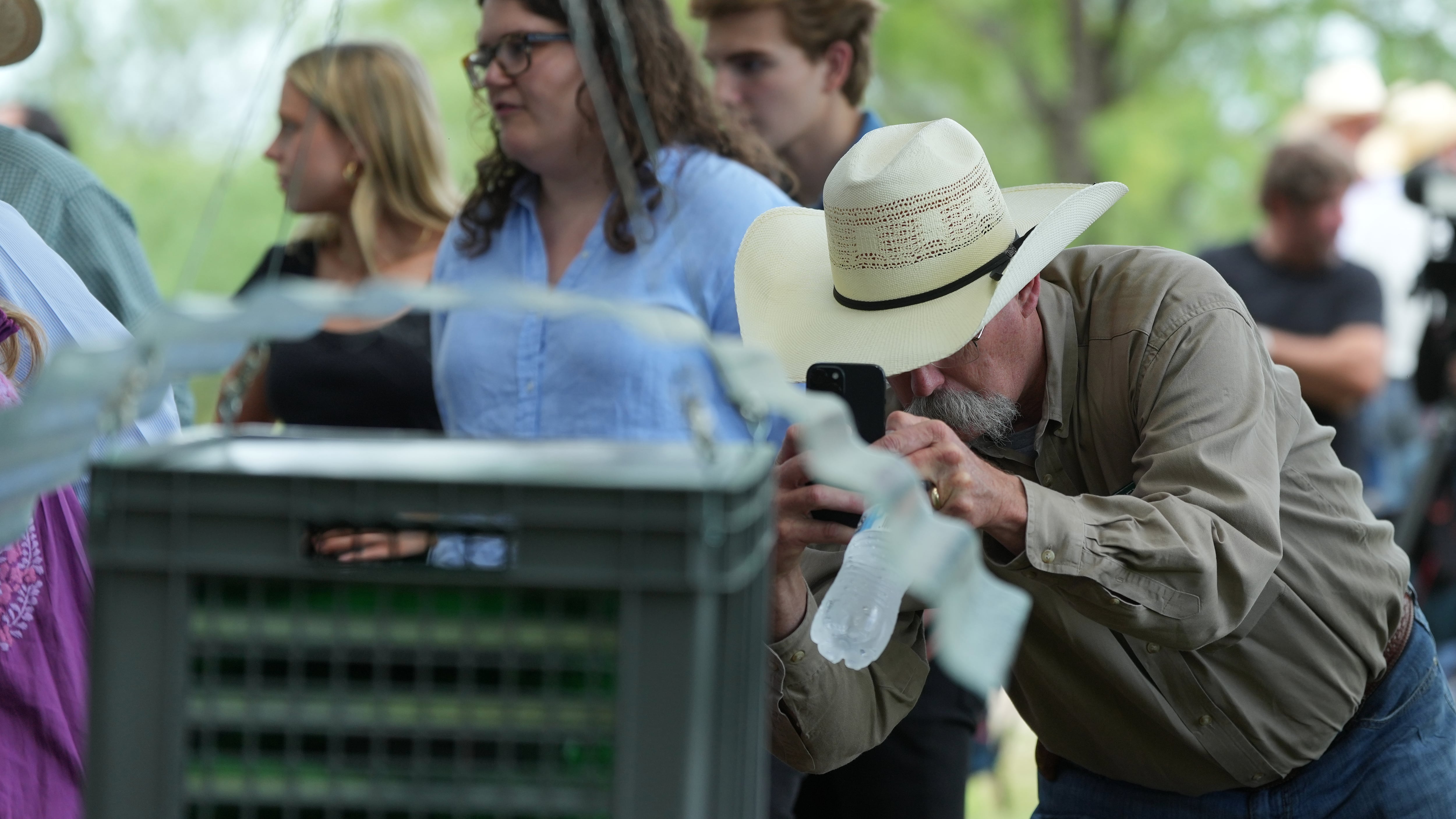 A ranger photographs a sterile fly dispersal station placed by the U.S. Department of Agriculture to combat the spread of the New World screwworm fly on the grounds of a ranch near La Pryor, Texas on June 11, 2026. (Eric Gay / AP Photo)