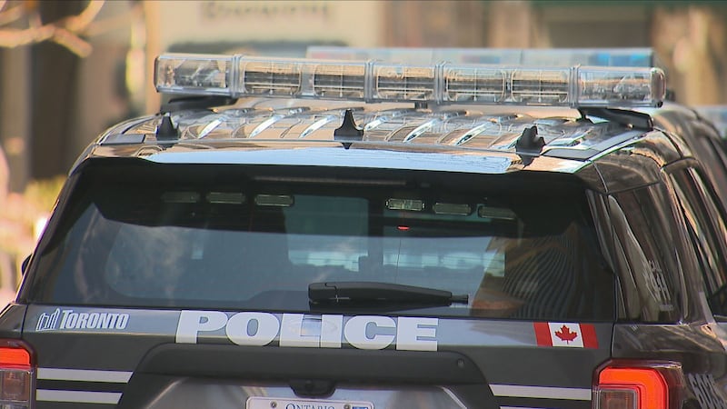 2 elderly women injured after being hit by tree branches while on Toronto patio