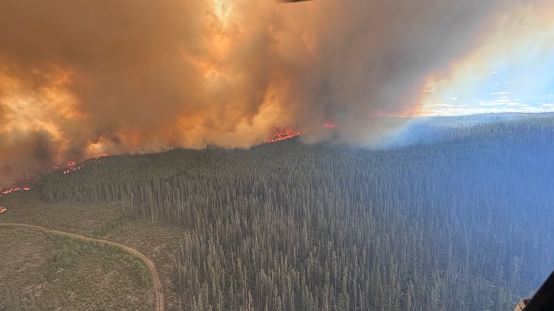 The wildfire near Comstock Lake, southwest of Prince George, measures approximately 1,300 hectares, according to the B.C. Wildfire Service. (Handout)
