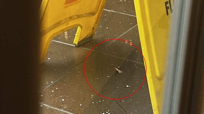 A photo of what appears to be a bullet casing on the ground in the Bourbon Street area of West Edmonton Mall after a lockdown on Jan. 29, 2026. (Supplied)