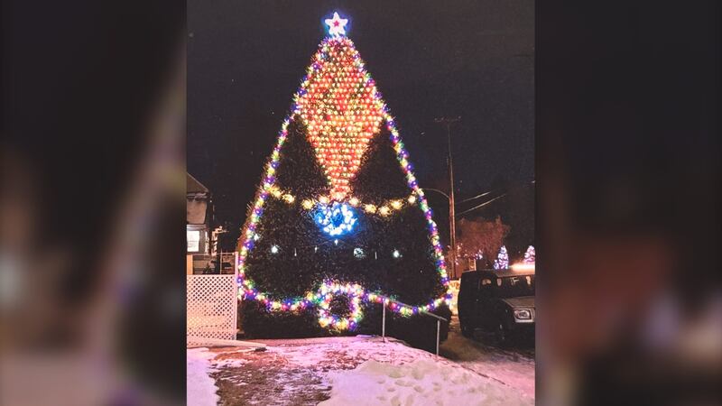 Calgarian Gordon Beck, 87, has spent decades tending to a row of Colorado blue spruce trees at his home. The trees now form a towering hedge that neighbours say is a work of art.