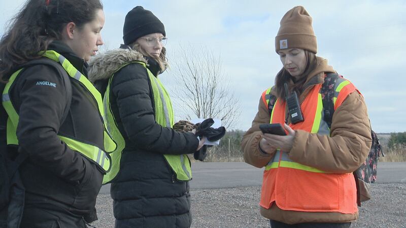 Three women are pictured wearing high visibility vests.