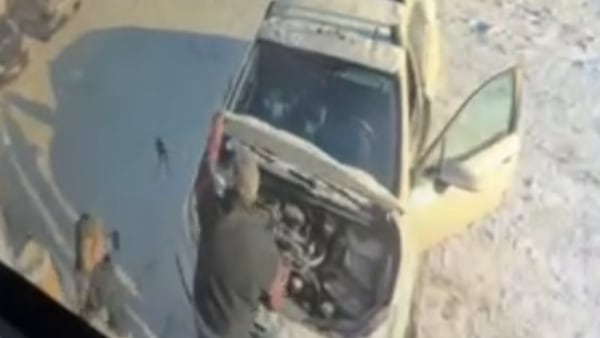 ‘I screamed’: Winnipeg woman finds surprise visitor under car hood