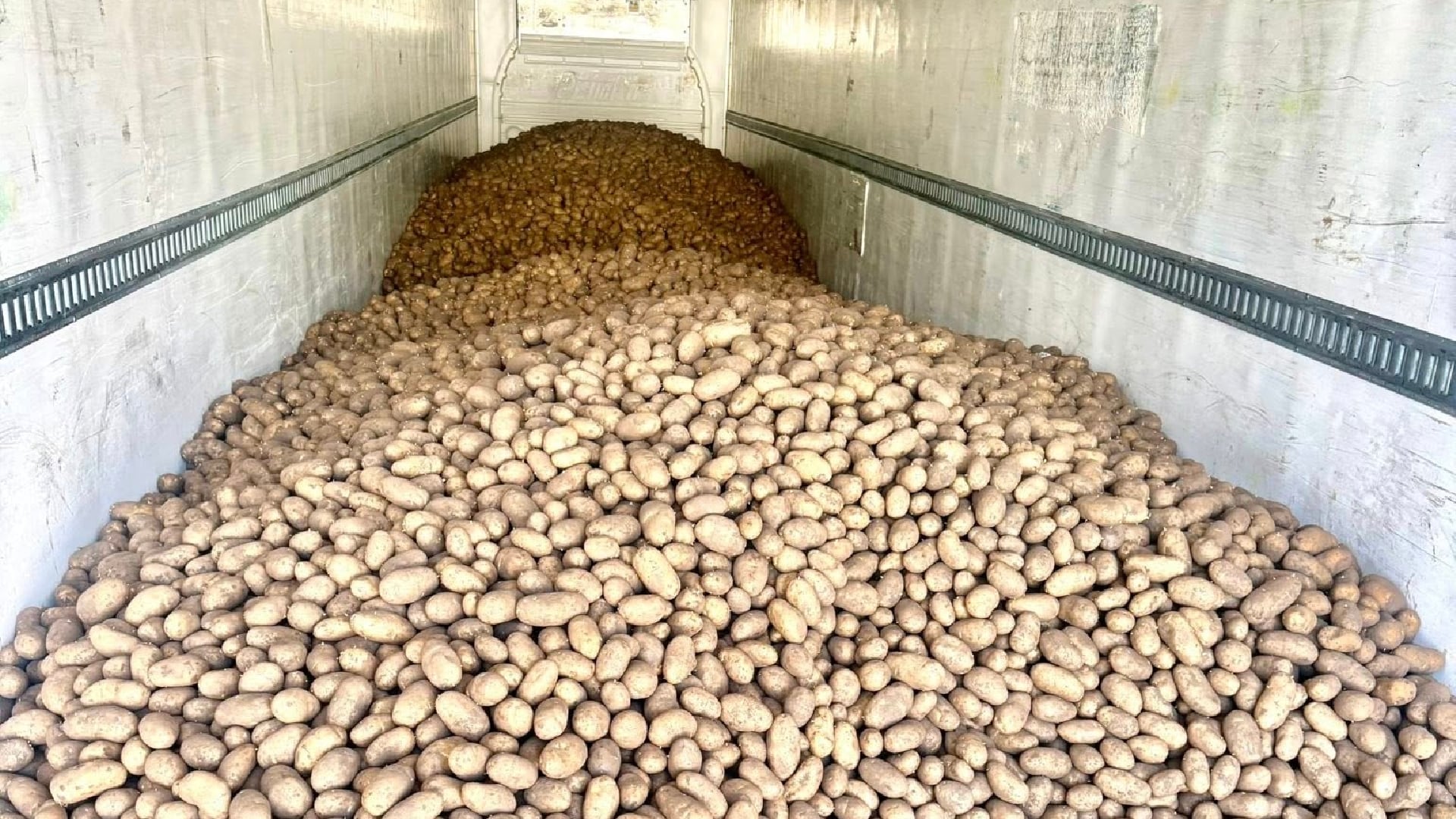 Guru Nanak Free Kitchen Calgary will be giving away 80,000 pounds of free potatoes on April 25, 2026. (Facebook/Guru Nanak Free Kitchen)