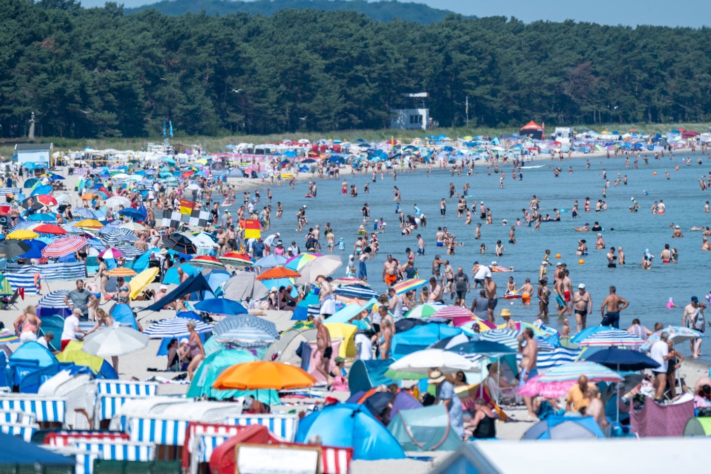 Central Europe on heat watch with temperatures up to 40 C