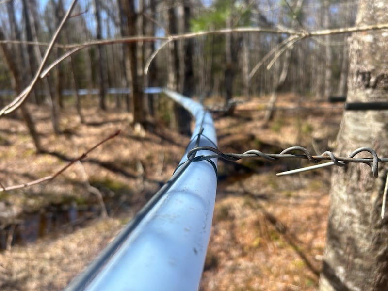 Some of the tubing at Hutchinson's Acres is pictured. (Jonathan MacInnis/CTV News Atlantic)