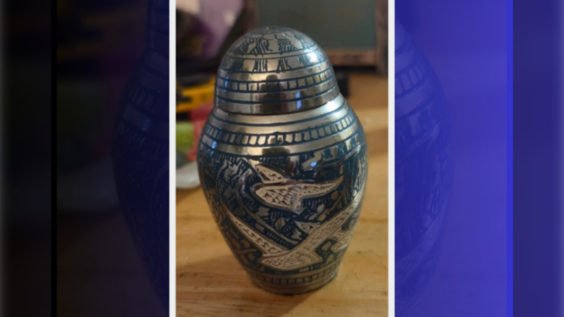 Family urn containing ashes stolen during Hamilton home break-in