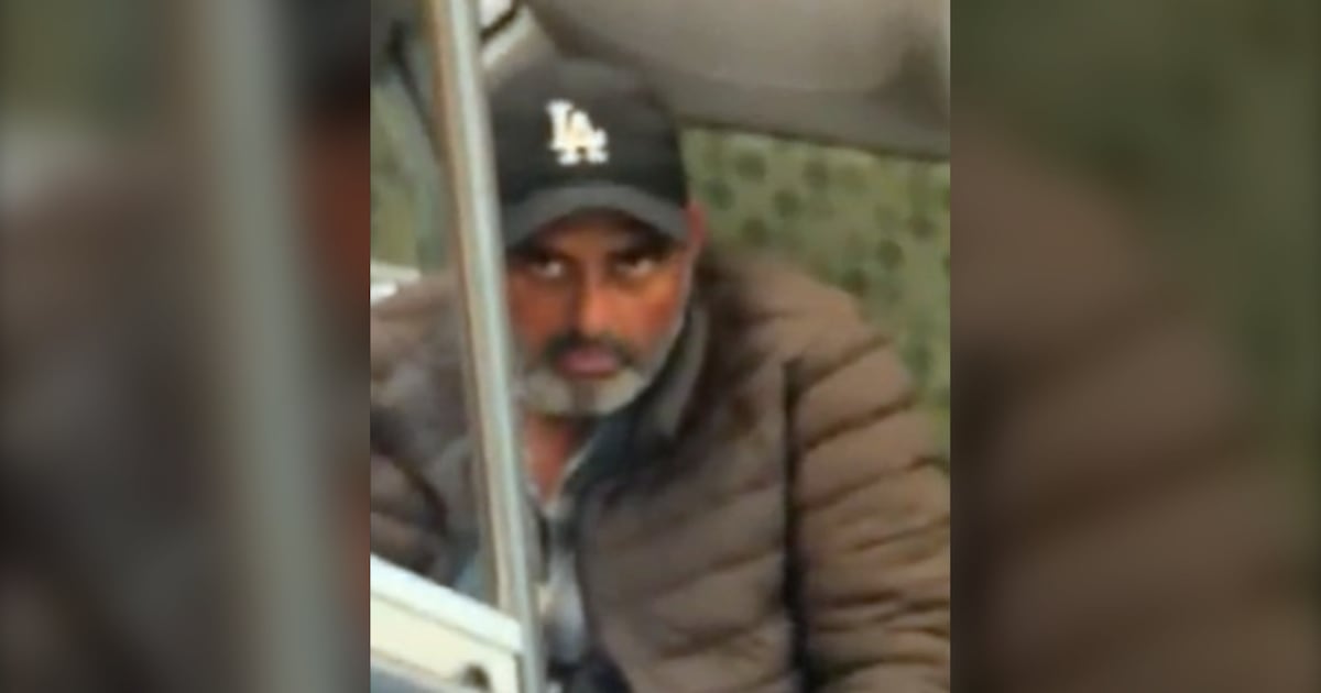 Verdächtiger nach Vorfall in einem GO-Zug wegen exhibitionistischer ...