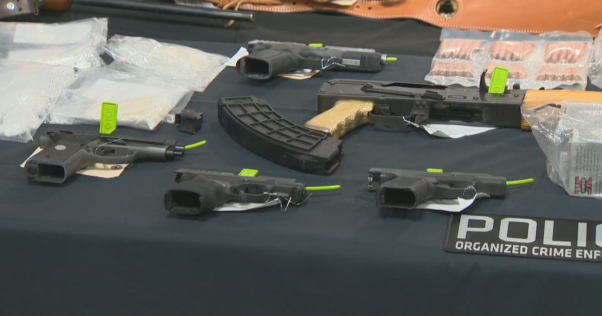 8 charged, 18 firearms seized in investigation