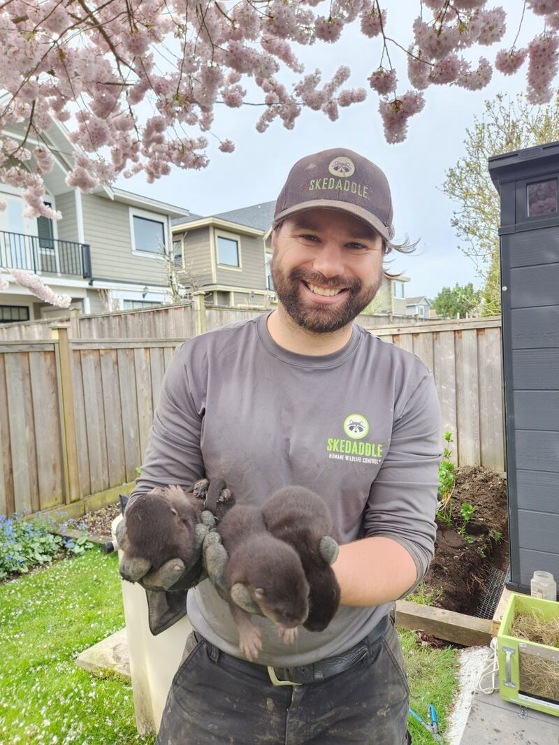 Baby river otter removal