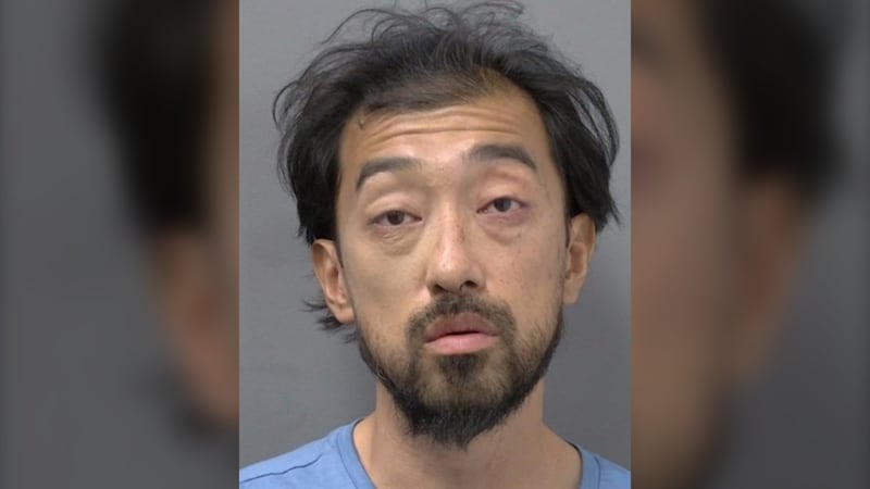 Mississauga man charged in alleged series of ‘unprovoked’ assaults, rock-throwing incidents