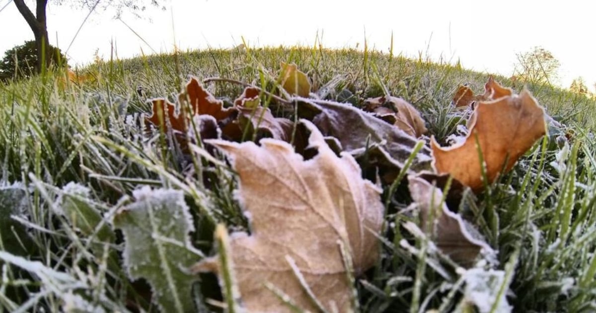 Temperature to plunge by double digits overnight in Toronto ...