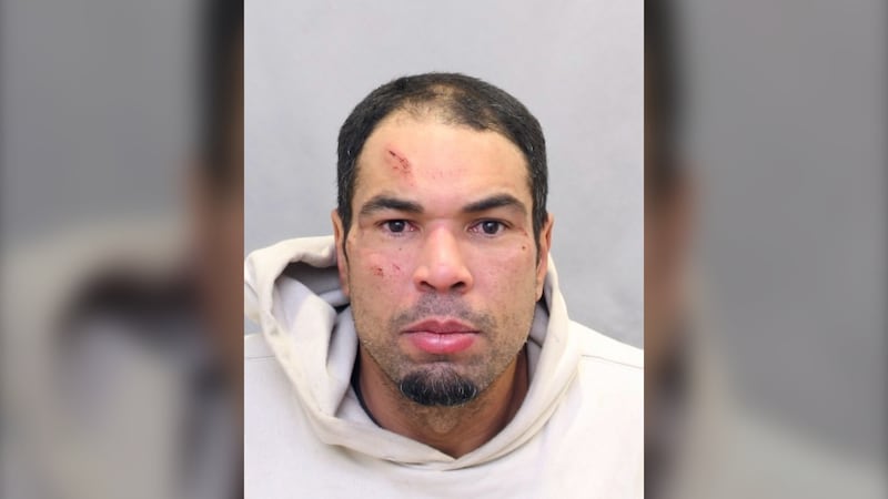‘Project Shelf Defence’: Police searching for repeat offender wanted on 91 charges
