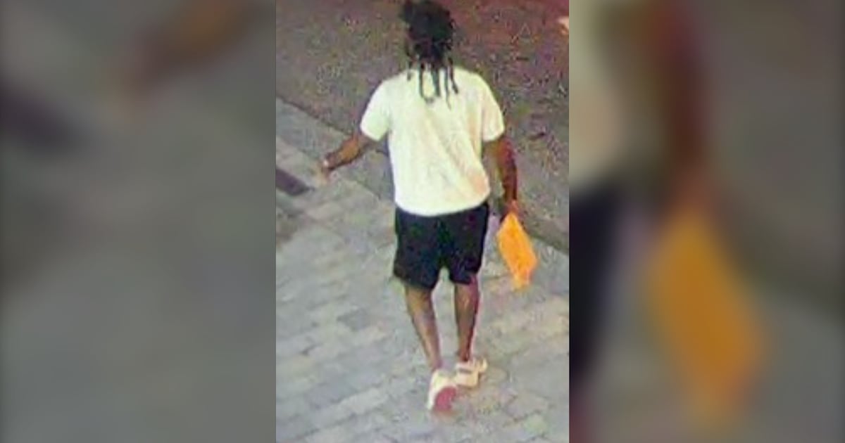 Police search for suspect wanted in connection with hit-and-run involving parking enforcement officer