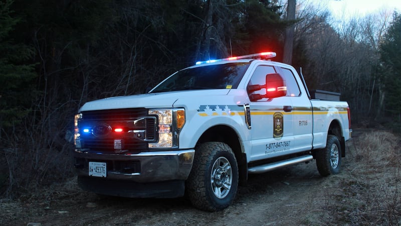 Group from southern Ont. fined for illegal fishing in northern Ont.