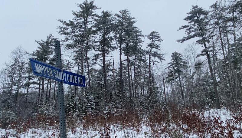 Upper Sandy Cove Road, where a boy was attacked by three dogs, is seen in Welshtown, N.S., on Jan. 6, 2025. The boy died from his injuries. (Hafsa Arif/CTV News Atlantic)