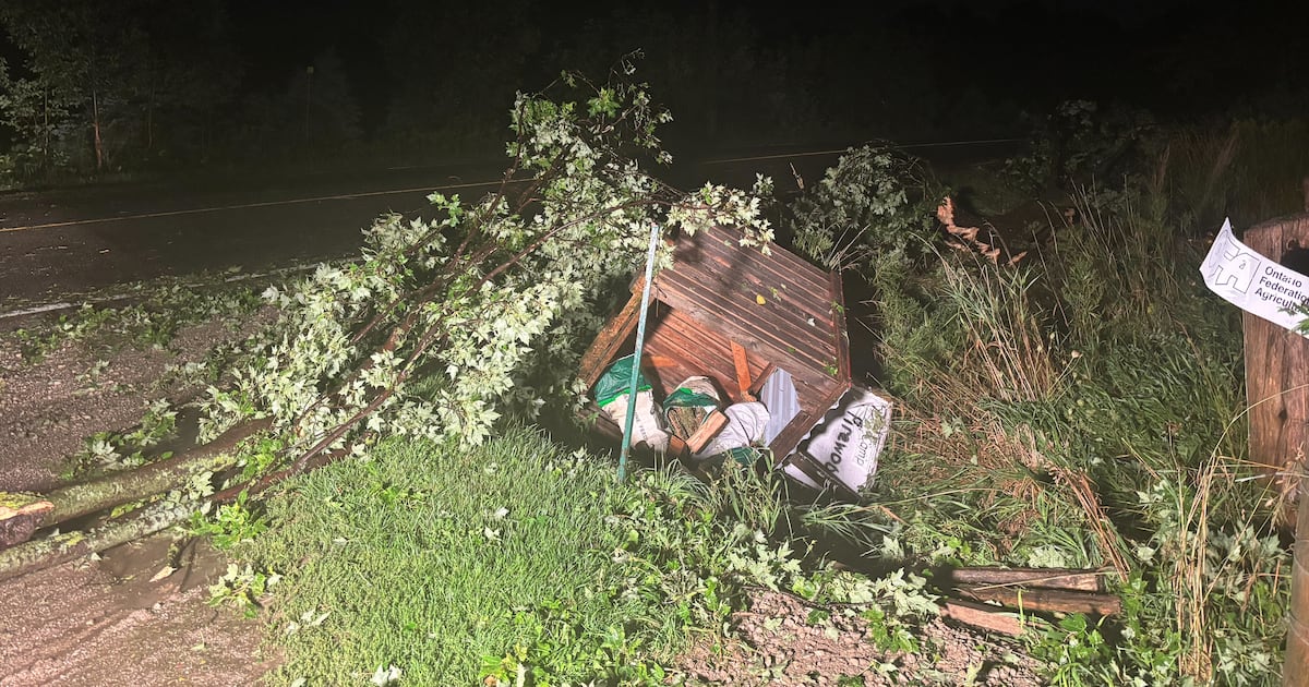 Potential tornado reported near Kitchener