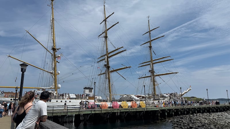 The Gorch Fock is pictured in Halifax on August 2, 2026. (Callum Smith/CTV Atlantic)