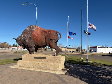 Flags in Wainwright, Alta., were lowered to half mast following the deadly incident at CFB Wainwright on Oct. 17, 2026. (Nicole Weisberg / CTV News Edmonton)