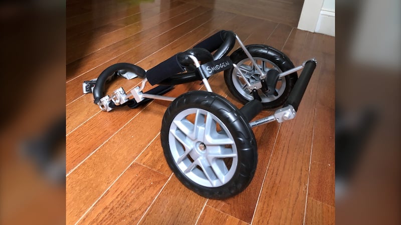 A custom wheelchair for a 10-year-old Chihuahua mix named Smidgen is pictured. (Courtesy: Lisa Lavoie)
