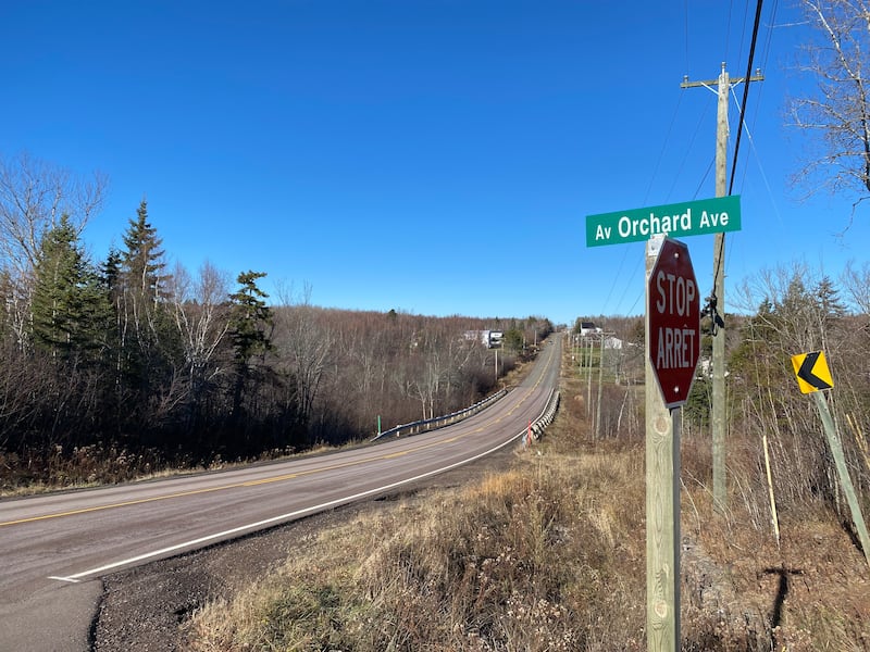 Orchard Avenue near where Leblanc crashed his car is seen. (CTV/Derek Haggett)