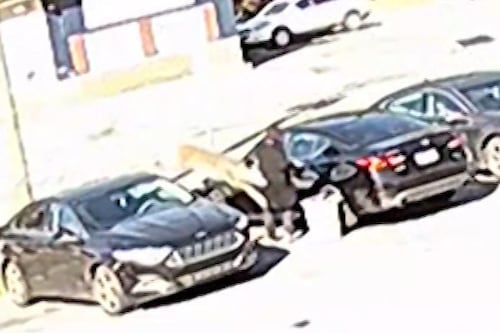 Deer tackles woman in parking lot before tearing through laundromat