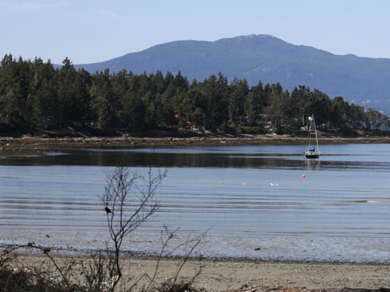 Scuba diver’s death in B.C. a ‘tragic incident,’ police say as investigation underway