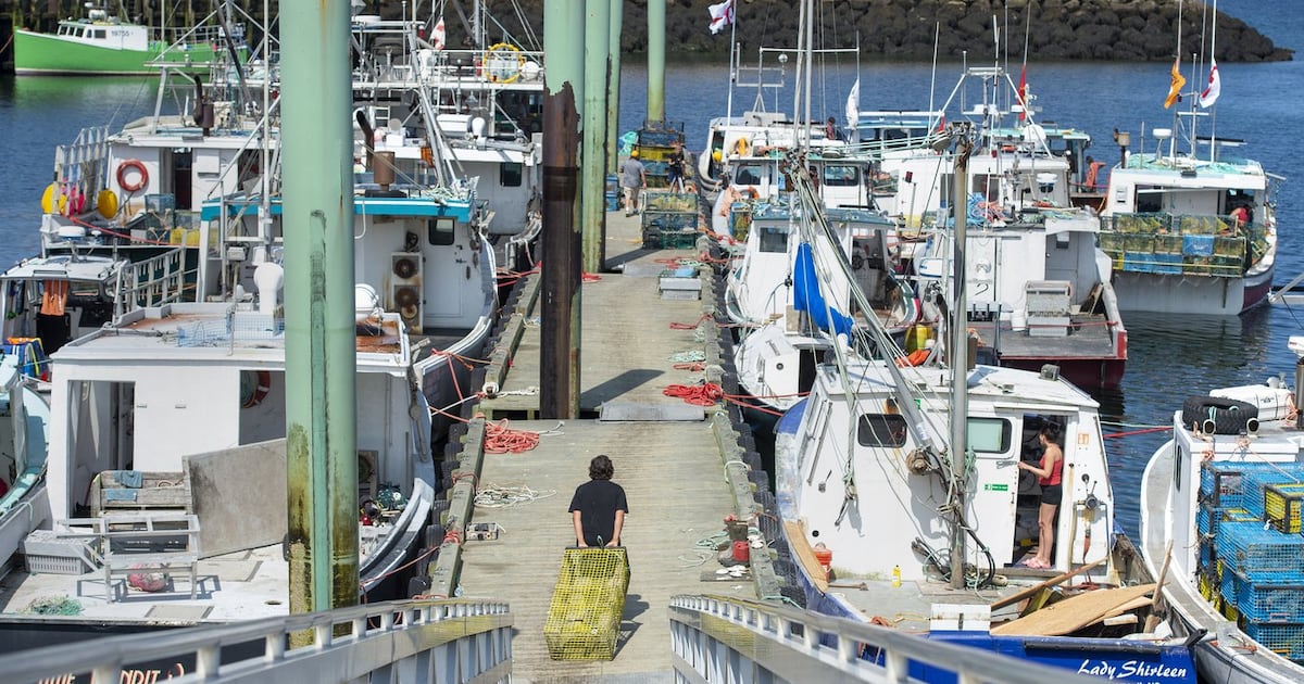 N.S. seafood processor wants accuser to name names in $10-million lobster lawsuit