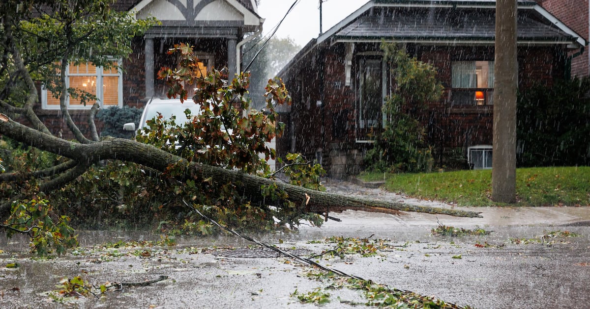 Toronto still responding to storm service requests