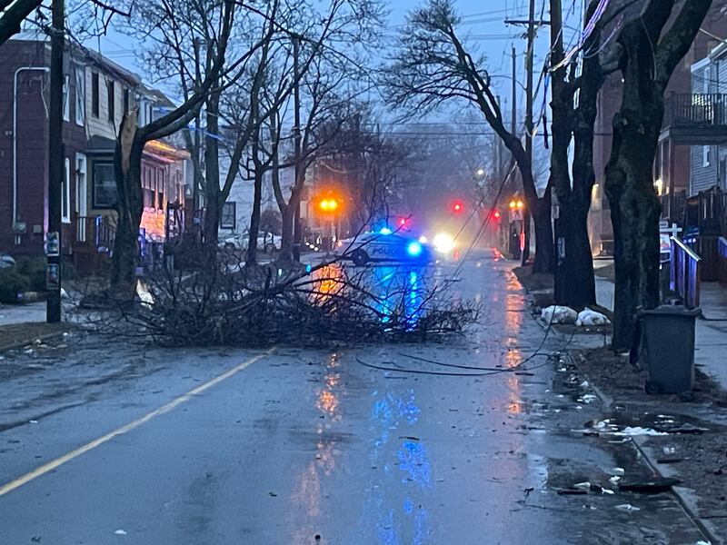 A downed tree branch is pictured in the North and Clifton Street area of Halifax on March 17, 2026. (Carl Pomeroy/CTV Atlantic)