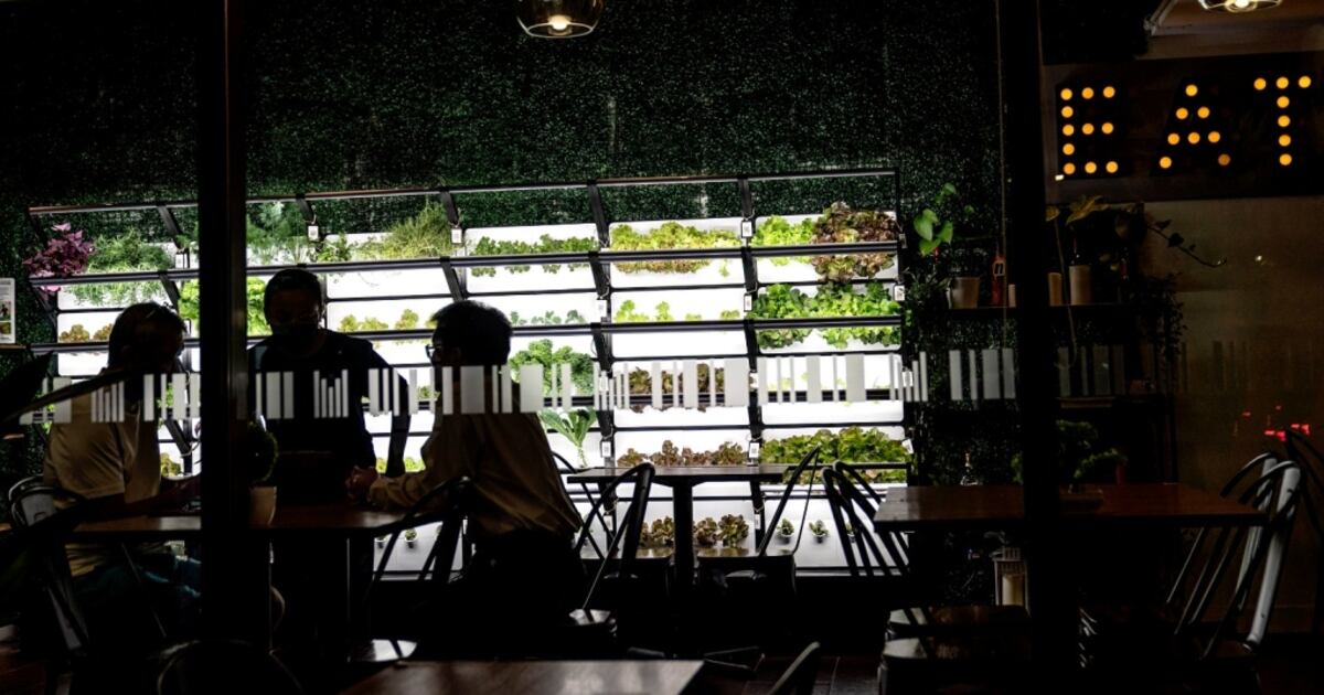 Chopt Finger Customer sues Chopt eatery chain over salad that she says contained a ...