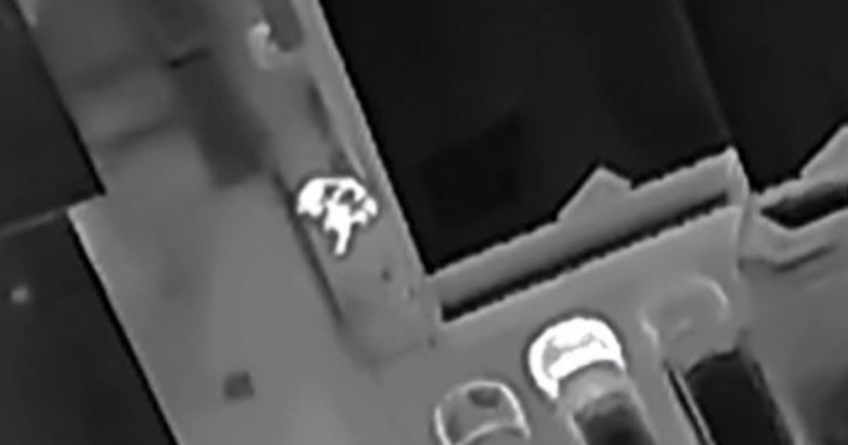 Drone video shows assault suspect hiding from police in Pickering moments ...