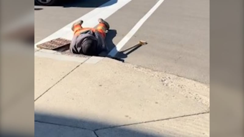 City worker Sergej Klobucar reaching down the drain to rescue the ducklings. (Carla Shynkaruk/CTV News)