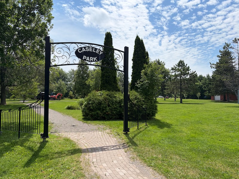 Caseley Park in Riverview, N.B., is pictured on July 14, 2026. (CTV Atlantic / Derek Haggett)