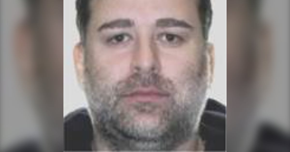 Proposed sureties pledge $1.2M in bail for man accused in Ryan Wedding ...