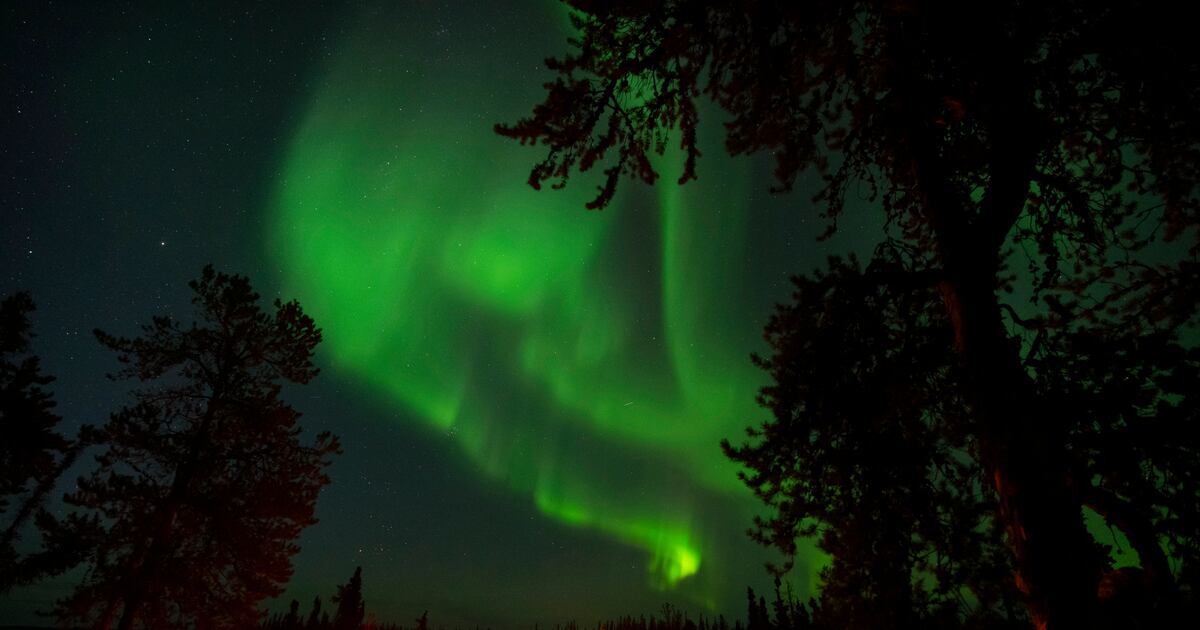 Nordlichter könnten heute Nacht in weiten Teilen Kanadas zu sehen sein