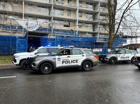Toronto mother facing murder charge in death of infant: police