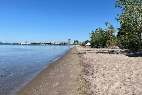 This Toronto beach is showing signs of erosion. An advocacy group says the city is not acting fast enough.