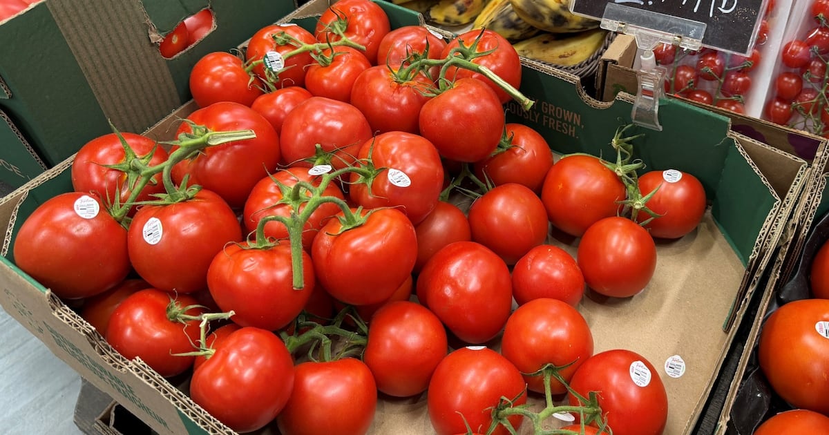 Laut StatCan stiegen die Tomatenpreise innerhalb eines Jahres um 45 % ...