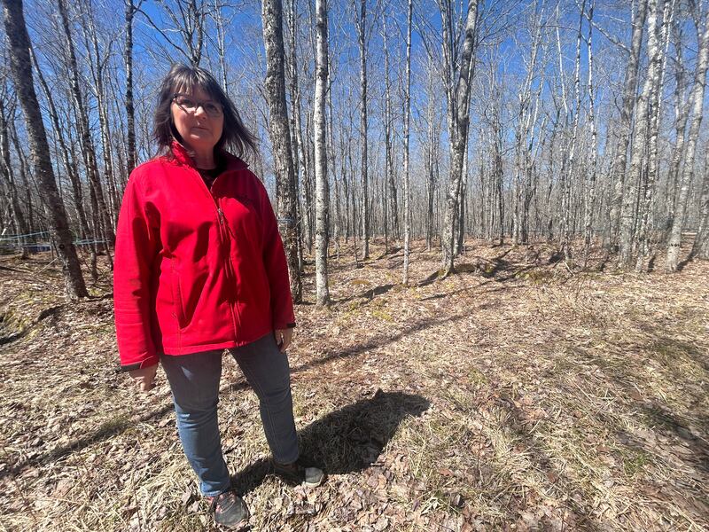Anna Hutchinson is pictured at Hutchinson's Acres. (Jonathan MacInnis/CTV News Atlantic)
