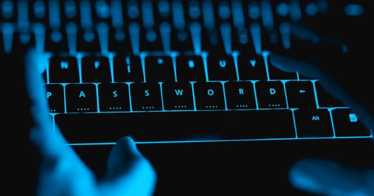 „Sie sind Monster“: Experten warnen vor einem Online-Extremistennetzwerk ...
