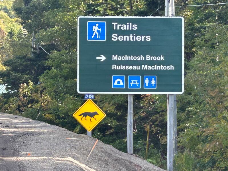 A sign for the MacIntosh Brook area of the Cape Breton Highlands National Park. (Ryan MacDonald/CTV Atlantic)
