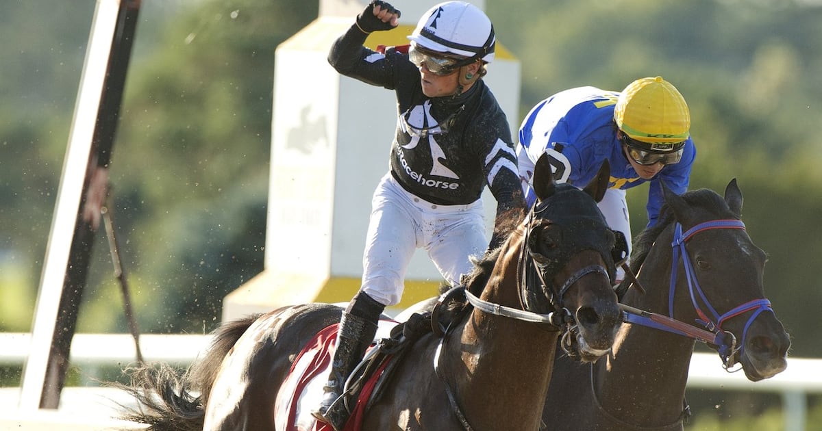 Maple Express | October 17, 2026 — U.S. Tax Break Drains Canadian Racehorses as Industry Warns of a 'Vicious Cycle'